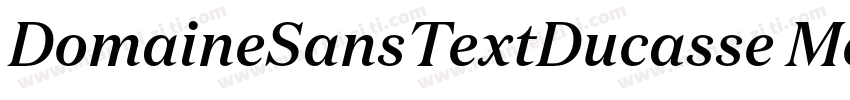 DomaineSansTextDucasse Medium字体转换